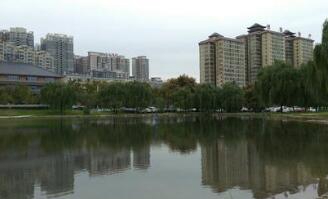 陕西渭阳技工学校图片