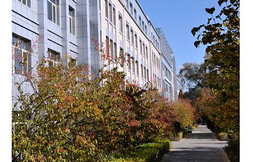 山东计算机学校图片