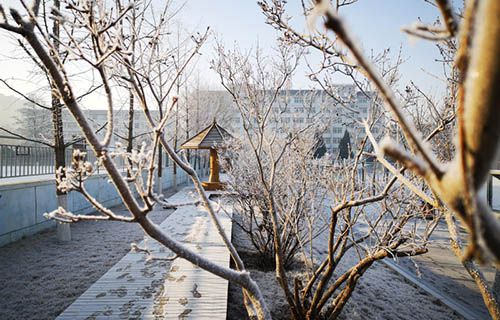济南高铁乘务学校图片