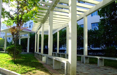 山东航空乘务学校图片