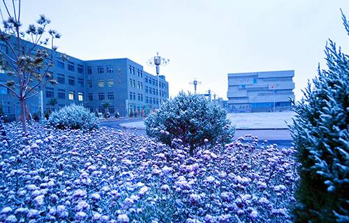山东艺术设计学校图片