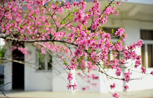 徐州市戏剧学校图片