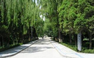 陕西乾县职业教育中心图片