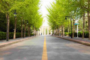 河北东方学院五年制大专图片