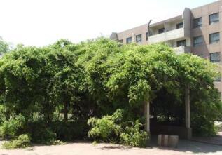 河北航空学校图片