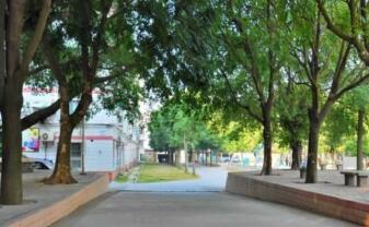 陕西工业职业技术学院五年制大专图片