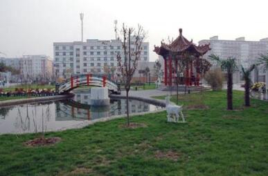 陕西省中医学校图片
