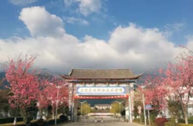 大理农林职业技术学院五年制大专图片