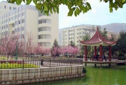 云南艺术职业学院五年制大专图片