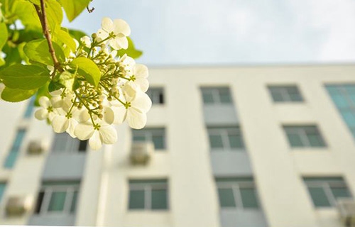 南宁市第二卫生学校图片
