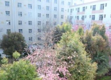 云南中医药中等专业学校图片