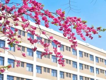 云南省建筑工程学校图片