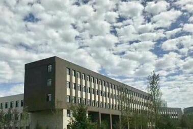 沈阳市悲鸿美术学校图片