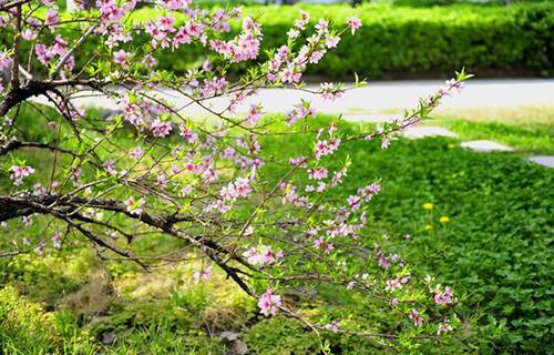 柳州市制剂医药技工学校图片