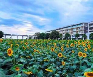 广西交通技师学院图片