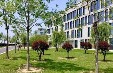辽宁人民艺术剧院附属学校图片