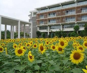 南宁第四职业技术学校图片