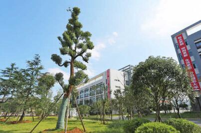 白城市商业技工学校图片