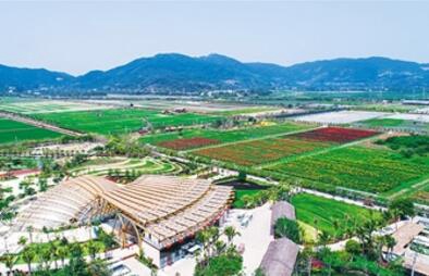 乾安县农业技术高中图片