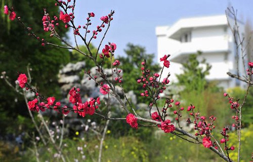 柳州交通学校图片