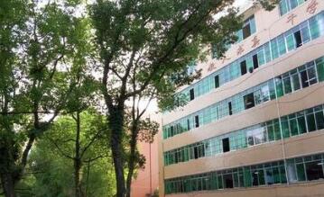 靖西职业技术学校图片