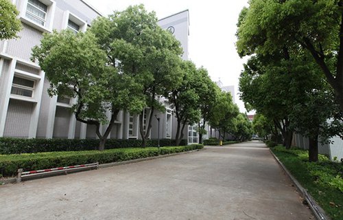 来宾卫生学校图片