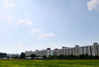 广西质量技术工程学校图片