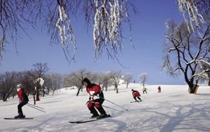黑龙江省滑雪学校图片