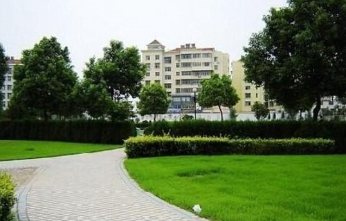 炎黄职业技术学院图片