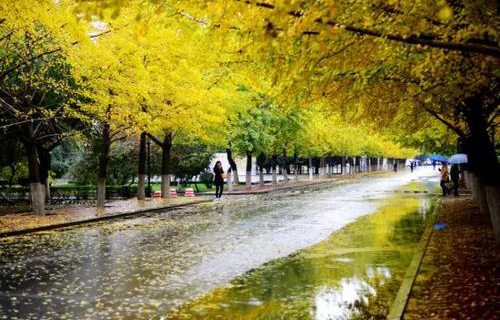 苏州市园林技工学校图片