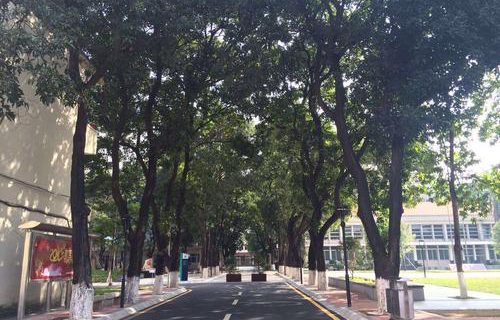 高淳县顾陇职业学校图片