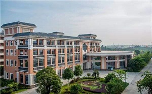 深圳教育国际交流学院图片