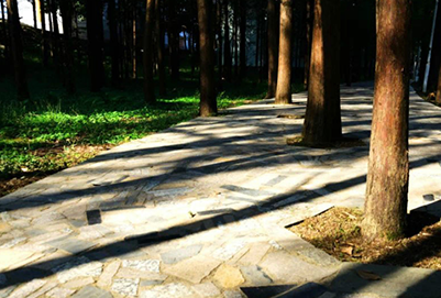 吉首大学师范学院