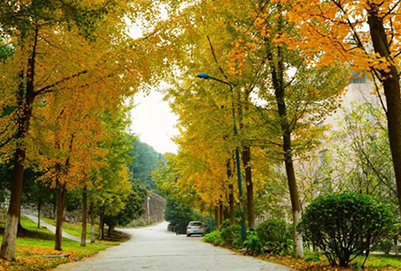 吉首大学师范学院