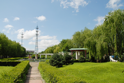 大庆师范学院