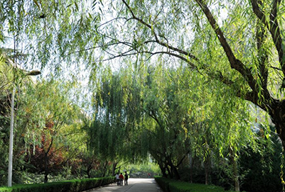 天水师范学院