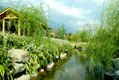 大理大学