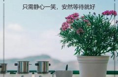 2023福州中专学校有哪些