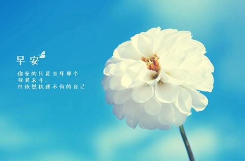 芜湖河运学校2023年招生简章