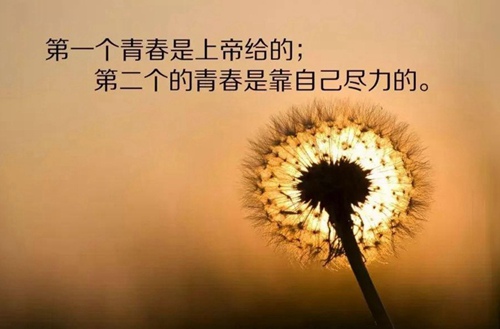 忻州创奇学校2023年招生计划