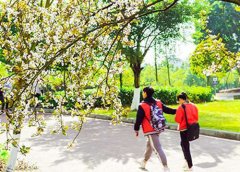 东北电力大学有软件工程专业吗?