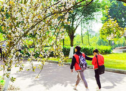 东北电力大学有软件工程专业吗?