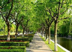 东北电力大学有信息管理与信息系统专业吗?