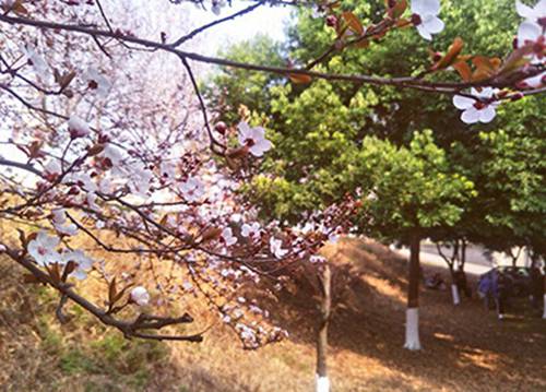 唐山天成中等专业学校2023年学费多少