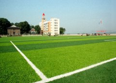长春理工大学有软件工程专业吗?