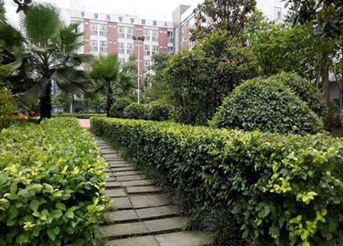 萧县师范学校2023年招生简章