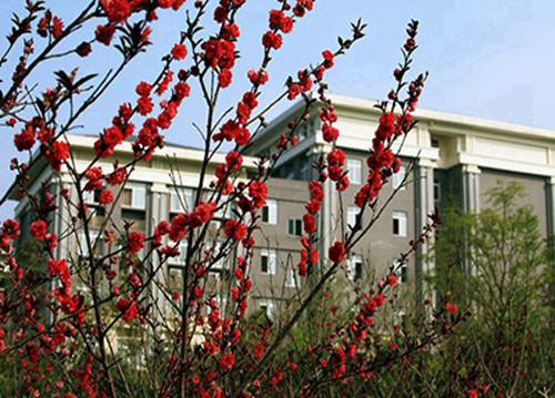 山西大同有哪些职业学校