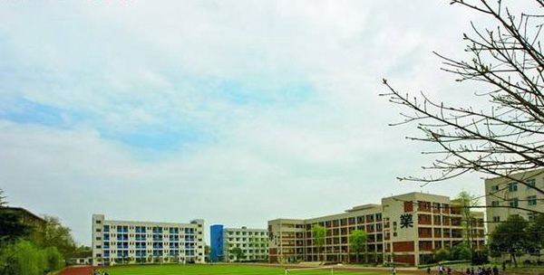 成都石化工业学校2017录取分数线