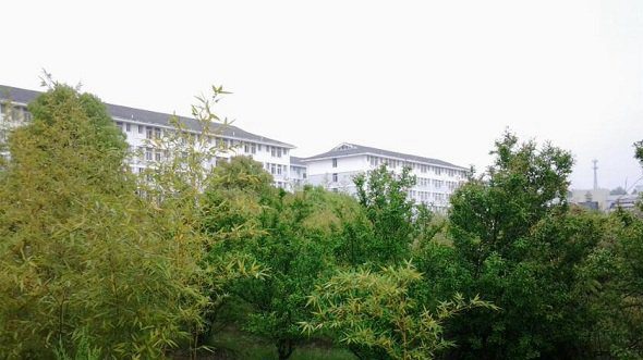 学校环境