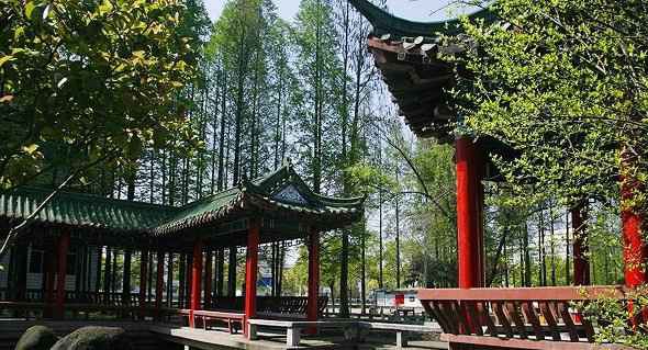 学校环境